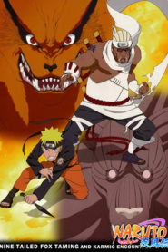 Naruto Shippūden: Season 12