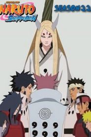 Naruto Shippūden: Season 22