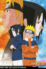 Naruto Shippūden: Season 9